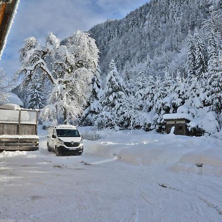 Appartement 6 Pers 70 M² Dans Chalet Chez Marie Montriond Εξωτερικό φωτογραφία