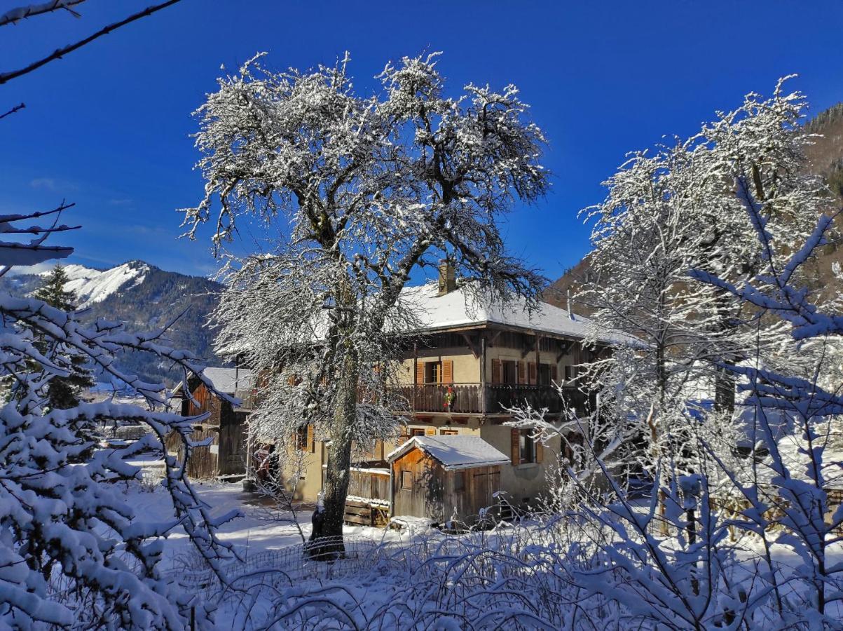 Appartement 6 Pers 70 M² Dans Chalet Chez Marie Montriond Εξωτερικό φωτογραφία