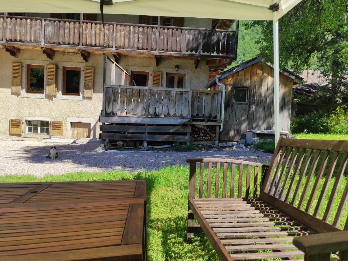Appartement 6 Pers 70 M² Dans Chalet Chez Marie Montriond Εξωτερικό φωτογραφία