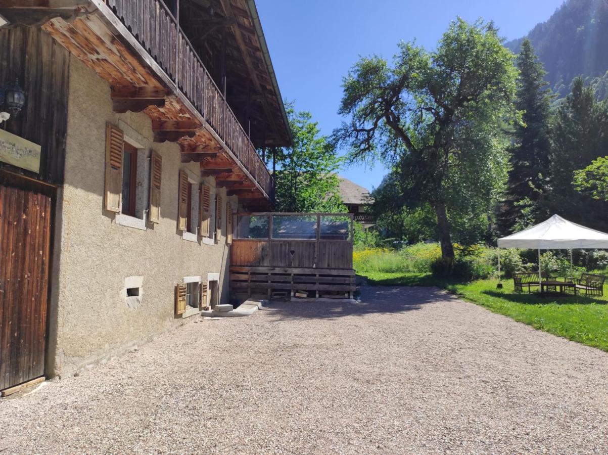 Appartement 6 Pers 70 M² Dans Chalet Chez Marie Montriond Εξωτερικό φωτογραφία