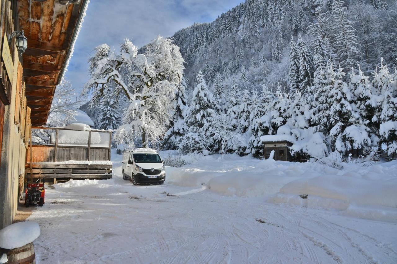 Appartement 6 Pers 70 M² Dans Chalet Chez Marie Montriond Εξωτερικό φωτογραφία